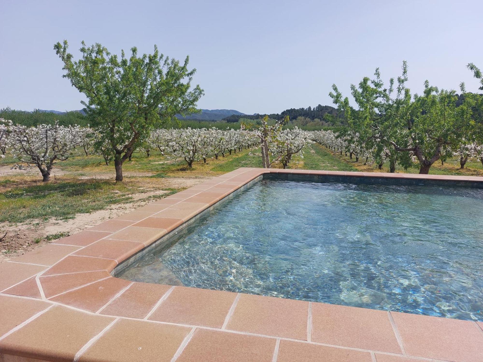 Masia Rural L'Hort De Maso Miravet Bagian luar foto