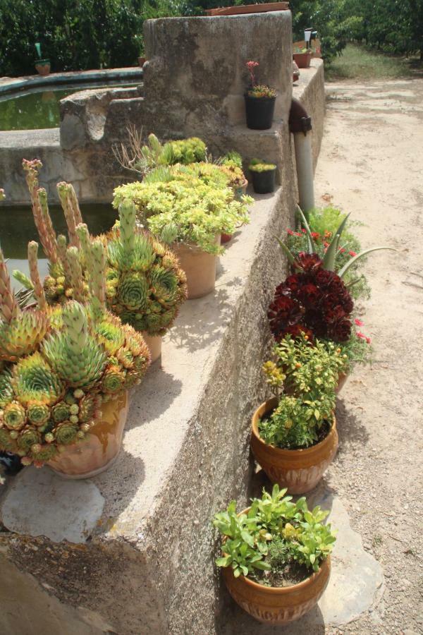 Masia Rural L'Hort De Maso Miravet Bagian luar foto
